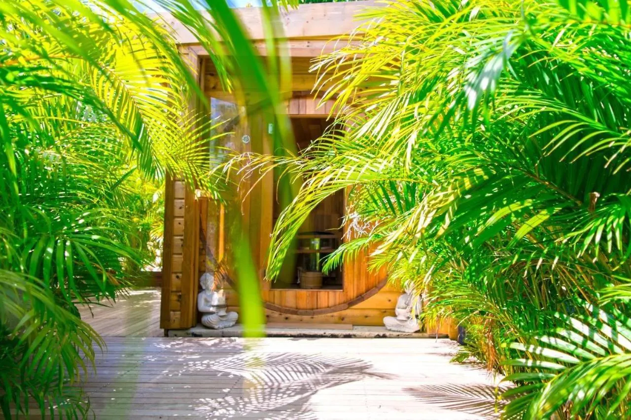 Villa Remeitch 4 Etoiles Luxe Avec Piscine Privee & Sauna 생프랑수아